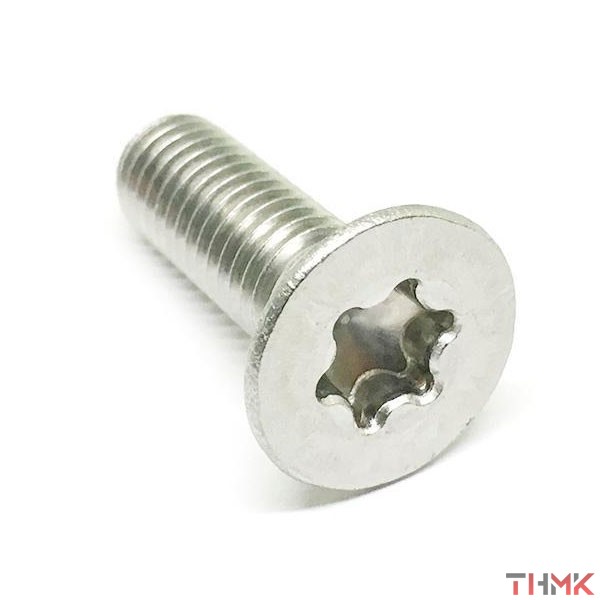 Винт нержавеющий М2,5х6 мм TORX-8 А4 DIN 965